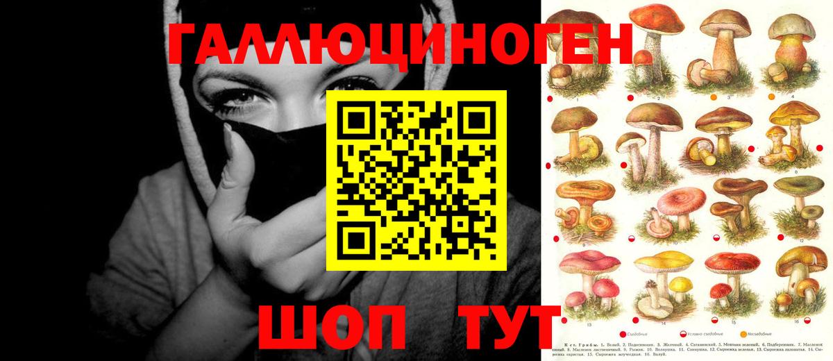 Галлюциногенные грибы MAGIC MUSHROOMS Гусев